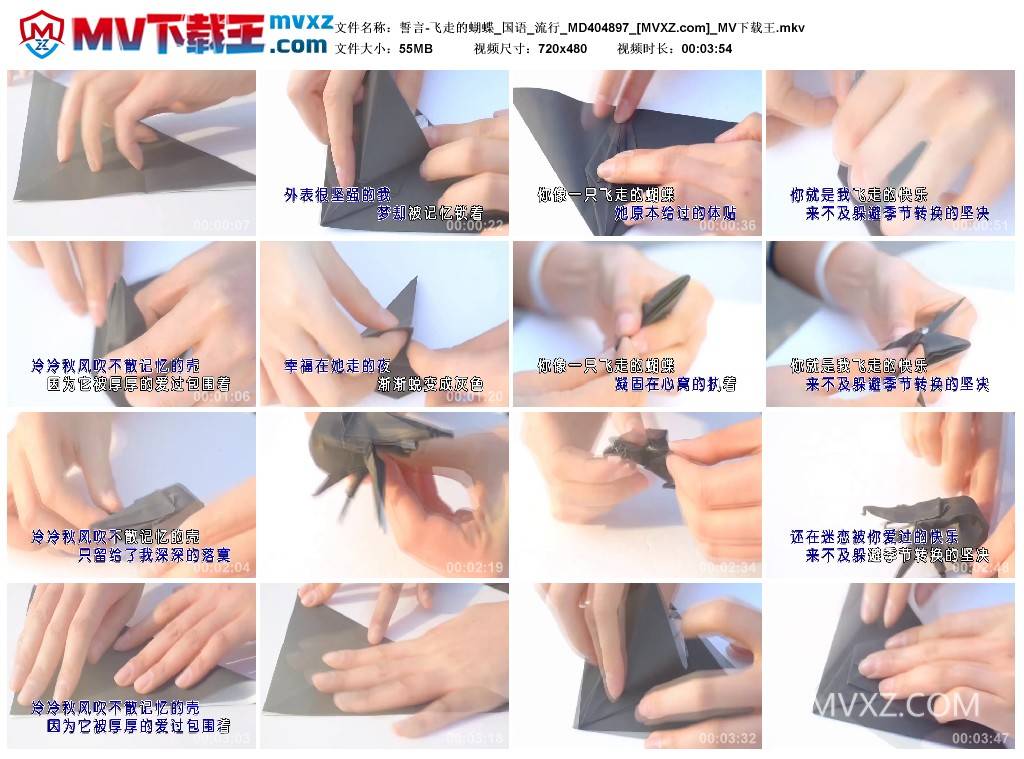 誓言-飞走的蝴蝶_国语_流行_MD404897